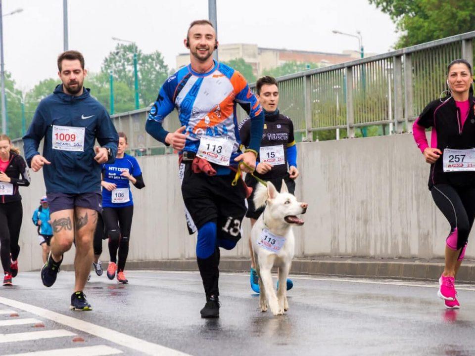 znane polskie maratony biegi sportowe